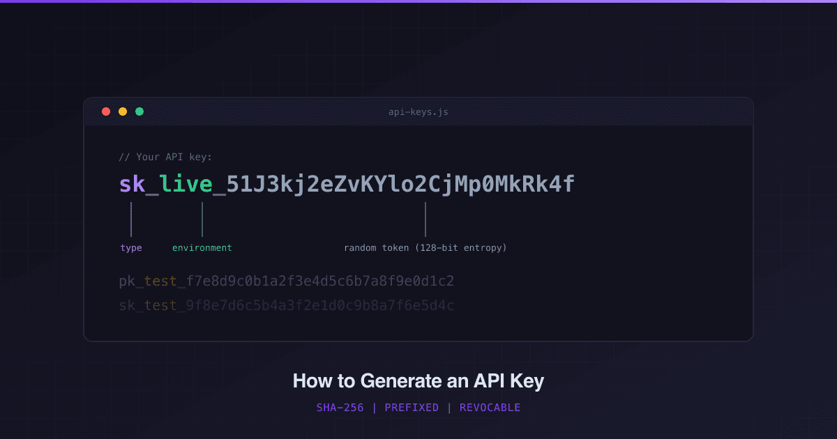 Anatomy of a Stripe-style API key: the sk_live_ type-and-environment prefix followed by a random token